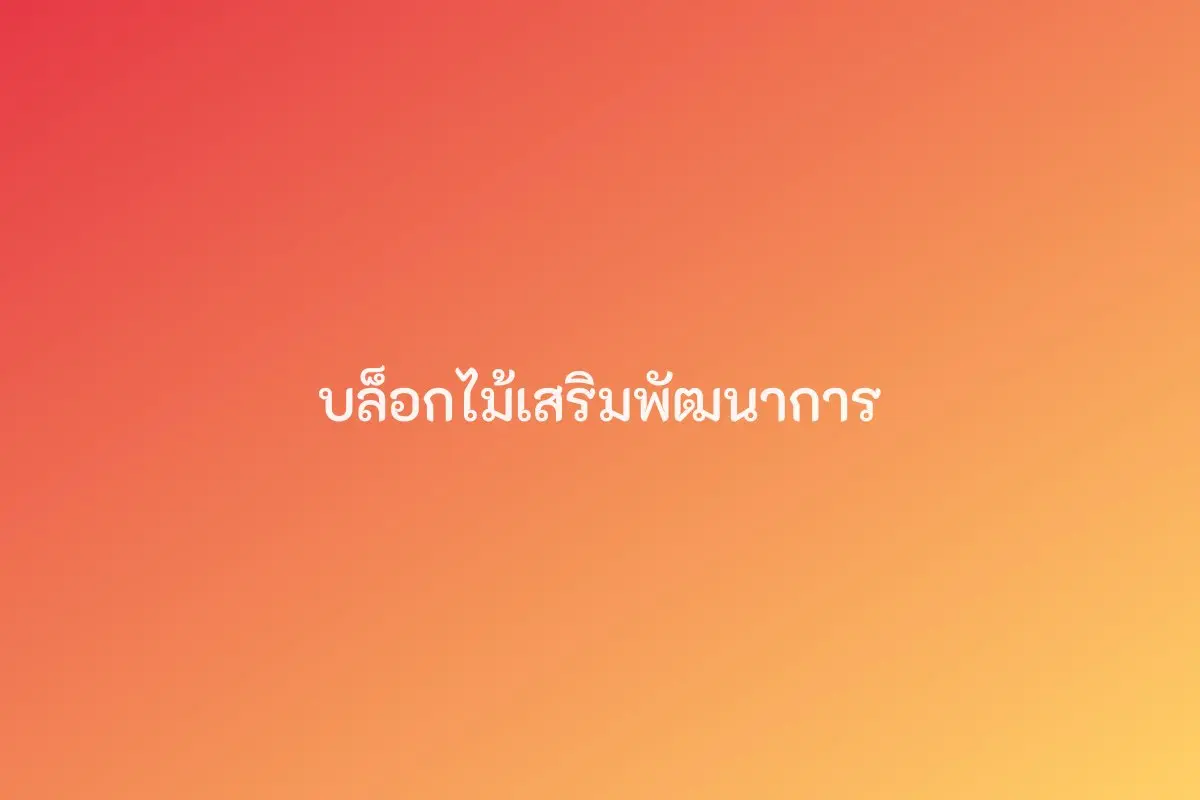 บล็อกไม้เสริมพัฒนาการ (0-3 ปี)